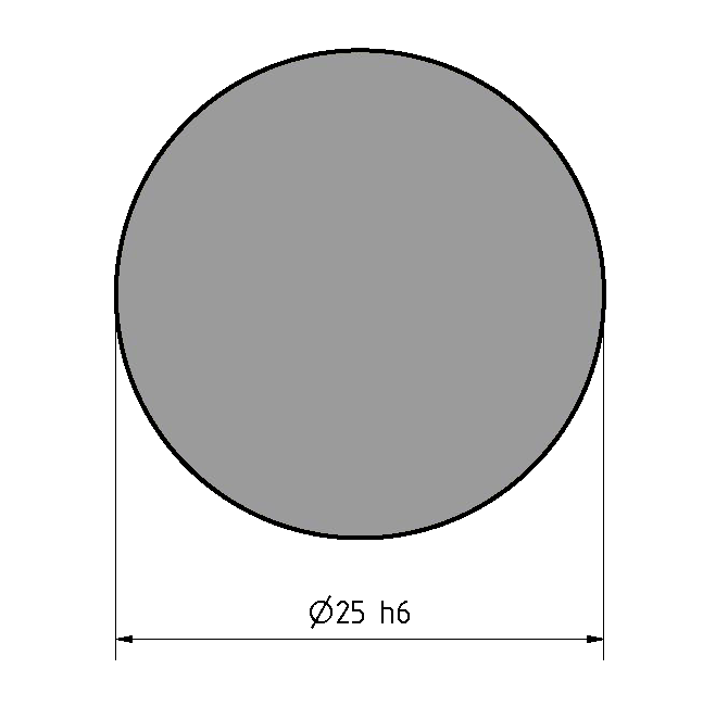 Welle D25, blank